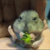 МОНАХ